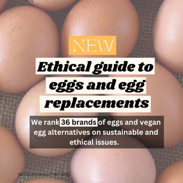 Image of eggs with text over: ethical guide to eggs and egg replacers