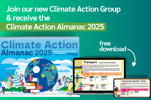 Image of front cover of Climate Action Almanac 2025