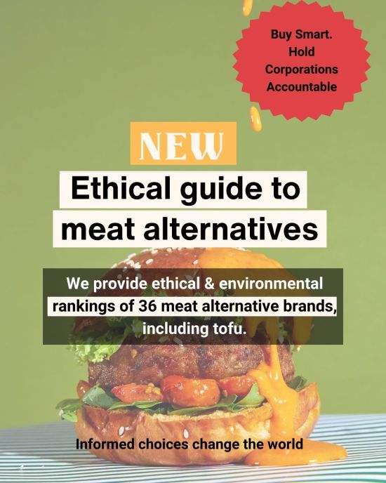 Burger with text over top 'ethical guide to meat alternatives'