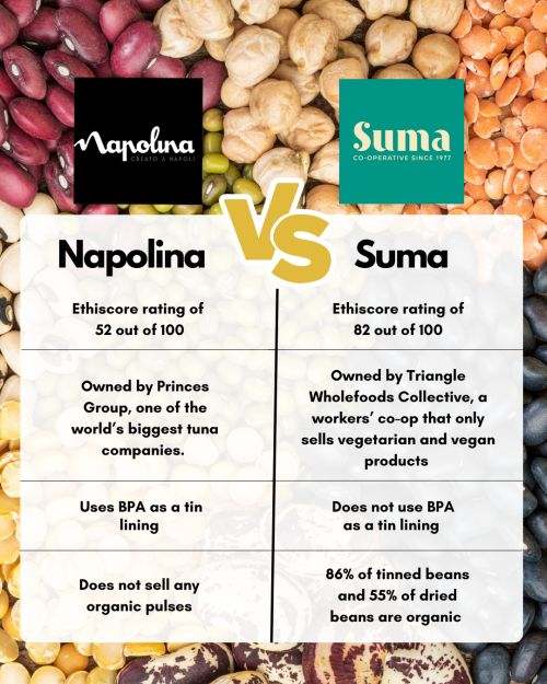 Infographic comparing Napolina with Suma. All info is in the accompanying guide article.