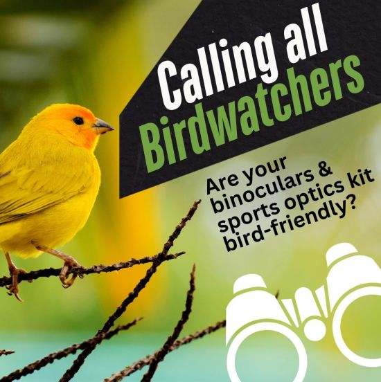 Yellow bird on twig, with words 'Calling all birdwatchrs. Are your binoculars and sports optics kit bird friendly?'