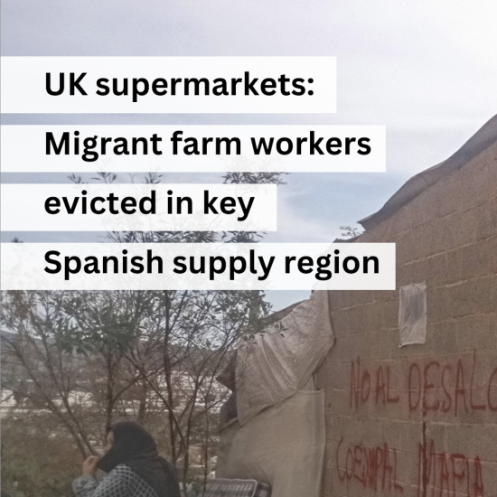 Image of makeshift settlement housing in Spain