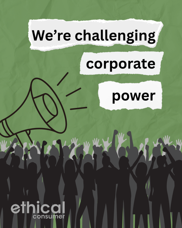 Drawing of group of people with arms raised. Words 'We're challenging corporate power'