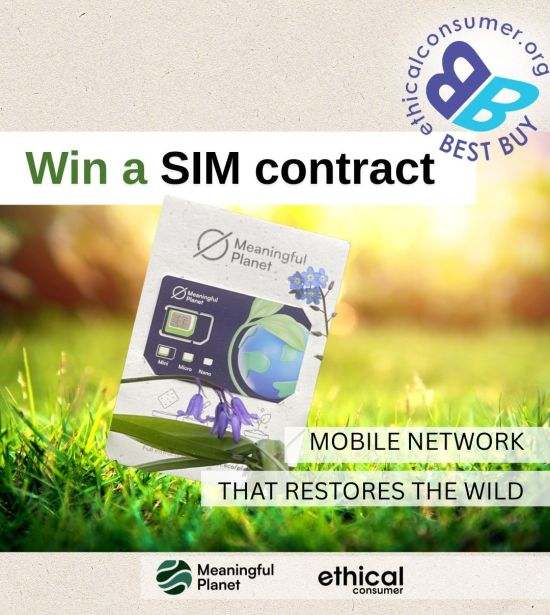Win a SIM contract with Meaningful Planet. Image of SIM card on green grass.