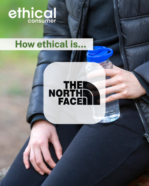 Person wearing a black outdoor jacket, holding a water bottle