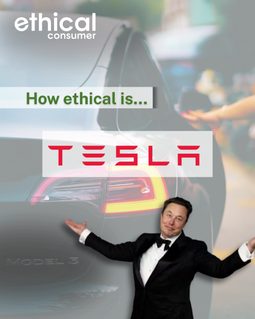 Montage with image of Tesla car and Musk in front