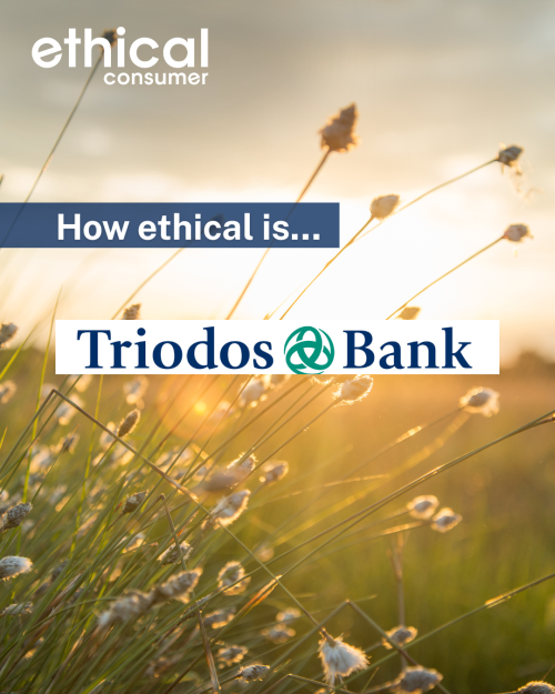 How ethical is Triodos Bank?