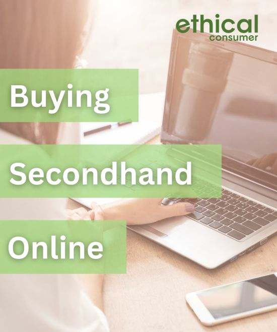 Person sat at a laptop