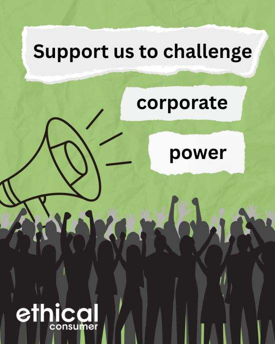 Drawing of group of people with arms raised. Words 'Support us to challenge corporate power'
