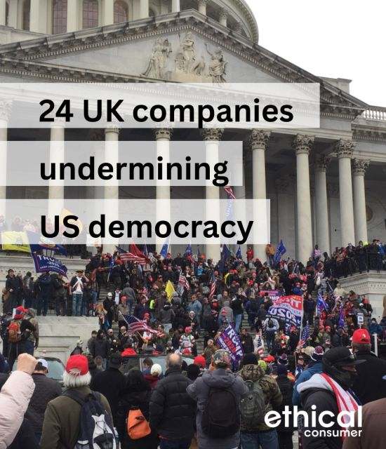 Crowd of Trump supporters storming the Capitol building in Washington DC