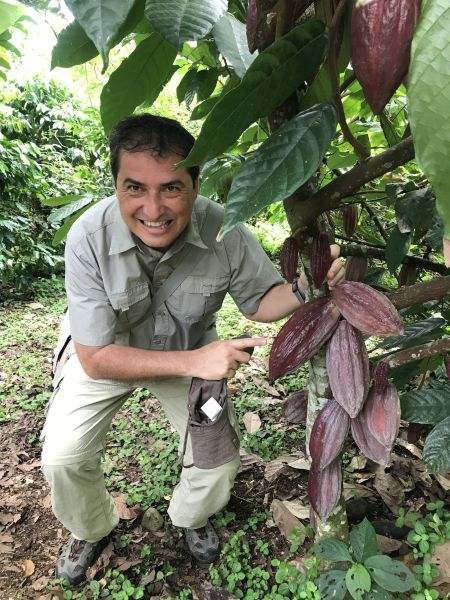 Man crouching under cacao plant 