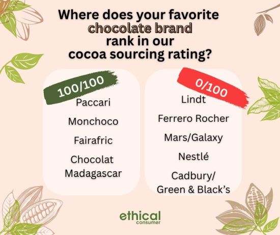 Cocoa sourcing rating by Ethical Consumer. All text is in the linked articles