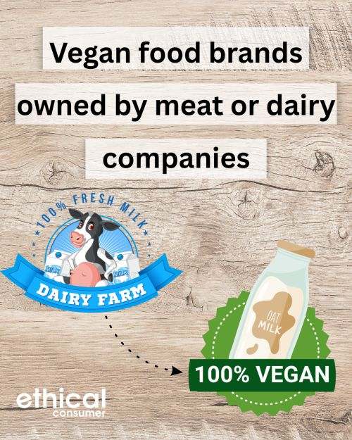 Vegan food brands owned by meat and dairy companies