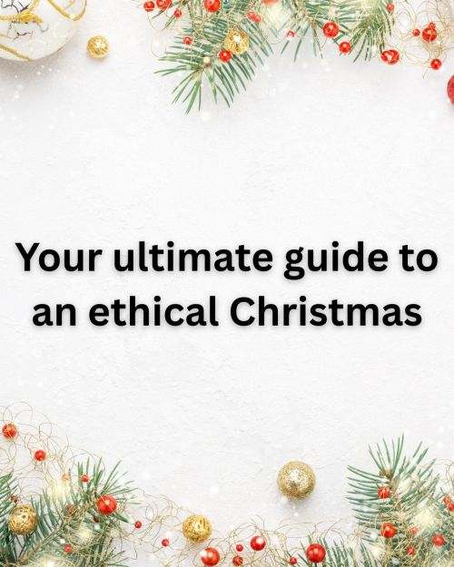 Festive backgroun with pine branches, and wording 'your ultimate guide to an ethical Christmas'