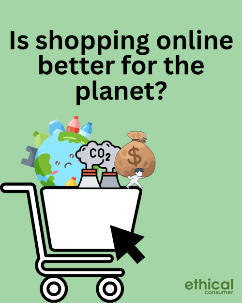 Cartoon graphic of a shopping cart with words 'is shopping online better for the planet?'