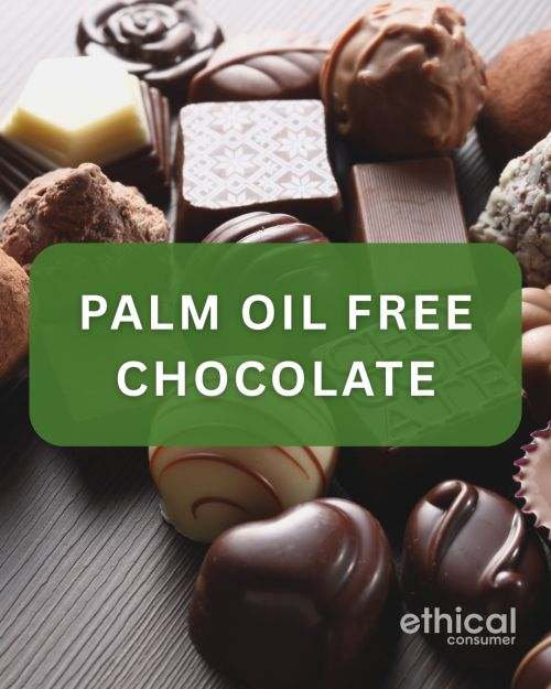 Selection of chocolate truffles